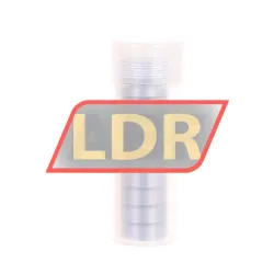 Neutral SR4A 2RS rulman resim 2