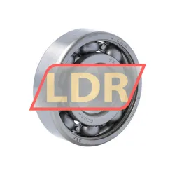 SKF W6204