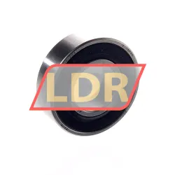 SKF W6002-2RS1