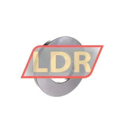 INA WS89310 rulman resim 2