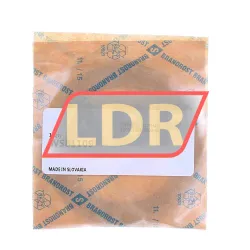 INA WS81109 rulman resim 2