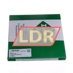 INA WS81124 rulman resim 3