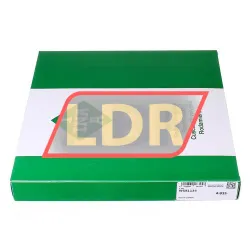INA WS81134 rulman resim 2