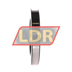 INA ZS71109 rulman resim 2