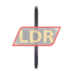 INA LS100135 rulman resim 2