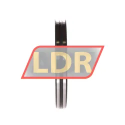 INA ZS66104-ASR3 rulman resim 2