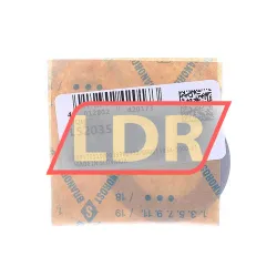 INA LS2035 rulman resim 2