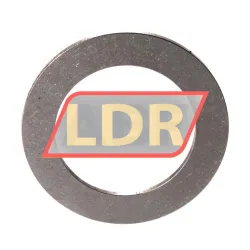 SKF LS4060 rulman resim 2