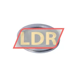 Neutral LS160200 rulman resim 2