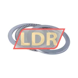 Neutral LS160200 rulman resim 3