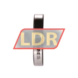 INA ZS1329 rulman resim 2