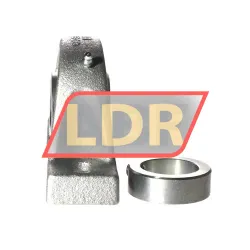 INA RASE40-XL-N-FA125 rulman resim 2