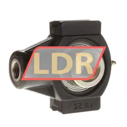 INA PTUE25-TV-FA125-5 rulman resim 2