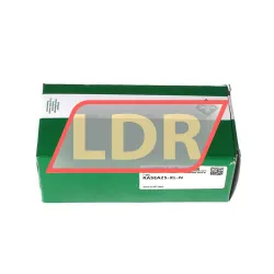 INA RASEA25-XL-N rulman resim 4
