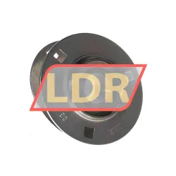 INA RAY30-XL rulman resim 2