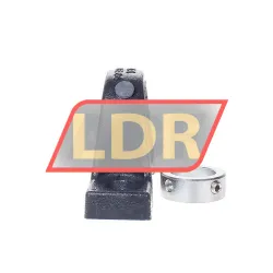 INA PASE30-N-FA106 rulman resim 2
