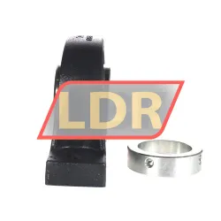 INA RASE60-XL-N-I rulman resim 2