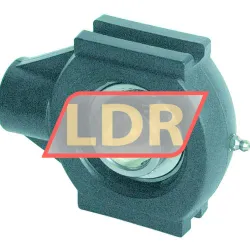 INA PTUE30-TV-FA125-5 rulman resim 4