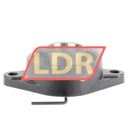 Felstrom UCFL218 rulman resim 2