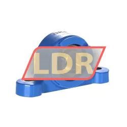 SKF P2BC25M-TPSS
