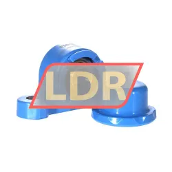SKF P2BC20M-CPSS-DFH rulman resim 2