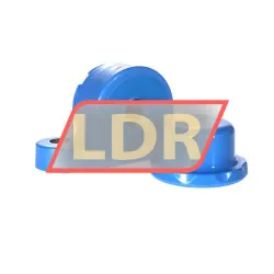 SKF P2BC20M-CPSS-DFH rulman resim 4