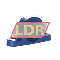 SKF P2BC25M-TPZM rulman resim 2