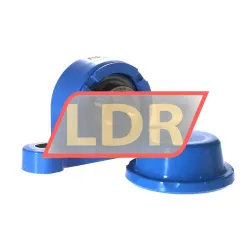 SKF P2BC35M-CPSS-DFH