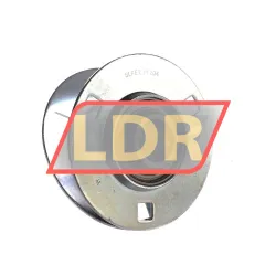 RHP SLFE20