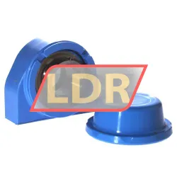 SKF P2BTC40M-CPSS-DFH