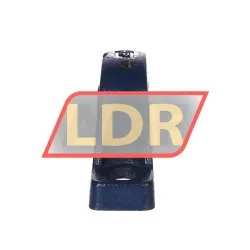 RHP NP20EC rulman resim 2