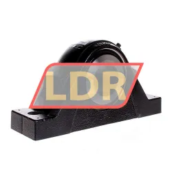 SKF SYNT50F