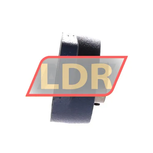 SKF FYTB25TF ürün fotoğrafı 2