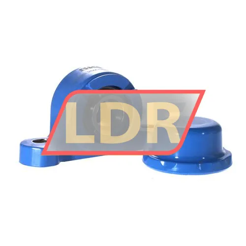 SKF P2BC25M-CPSS-DFH