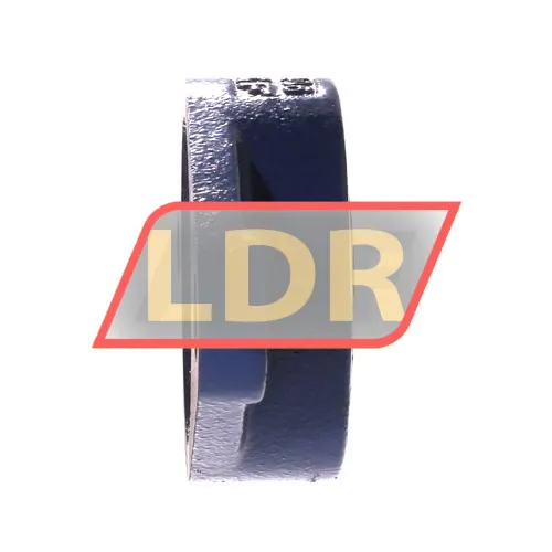 SKF UKFL206K/H ürün fotoğrafı 2