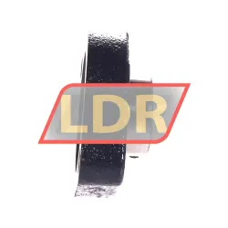RHP LFTC30A rulman resim 2