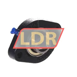 RHP LFTC20A