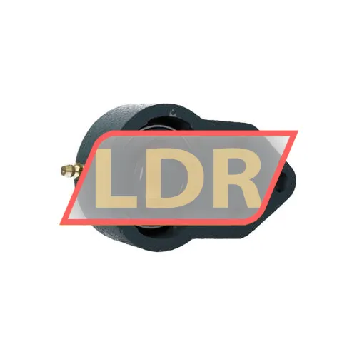 NTN M-UCFH205D1 ürün fotoğrafı 2
