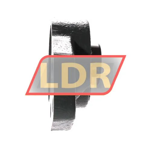 NSK UCFH204D1 ürün fotoğrafı 2