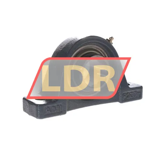 AMI UCP207-23RT