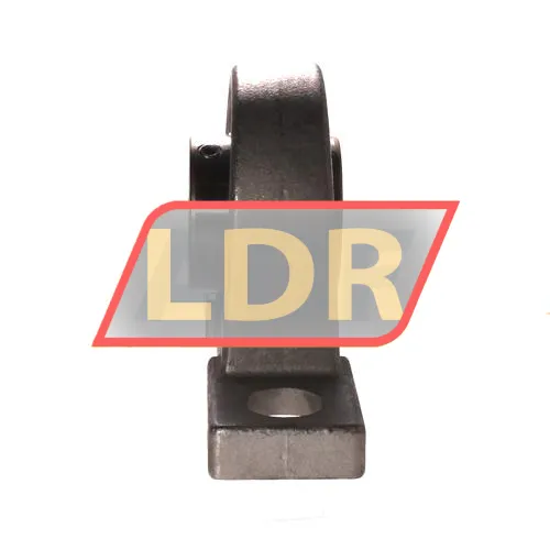 NSK F-UCPM206D0/LP99 ürün fotoğrafı 2