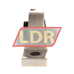 NTN F-UCPR205/LP03 rulman resim 2