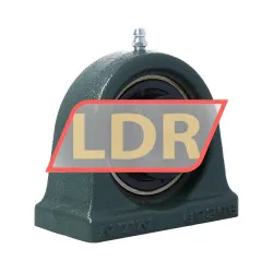 NTN UCPA206D1