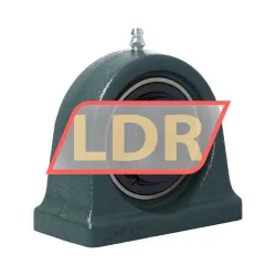 NTN UCPA206D1 rulman resim 2