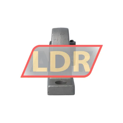 NTN F-UCPM204/LP03 ürün fotoğrafı 3