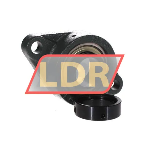 NTN M-AELFL208D1 ürün fotoğrafı 2