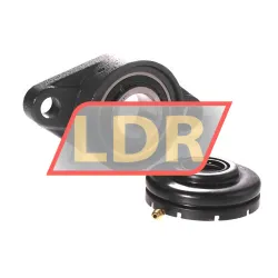NTN S-UKFL207D1