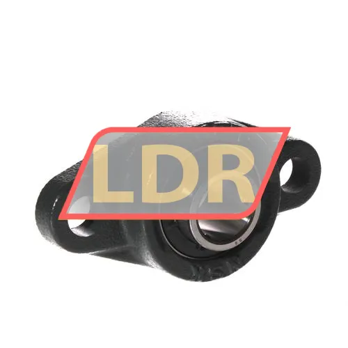 NSK UCFL205D1