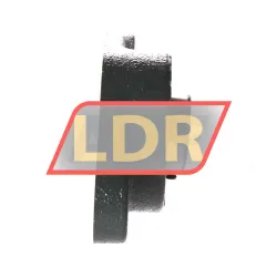 NSK UCFL205D1 rulman resim 2