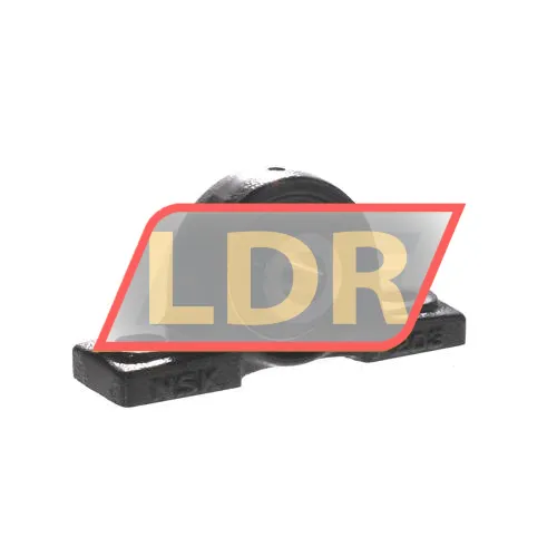NSK UCP202D1